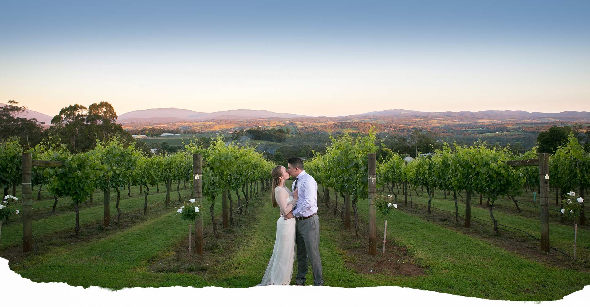 Married couple standing in front of vineyard